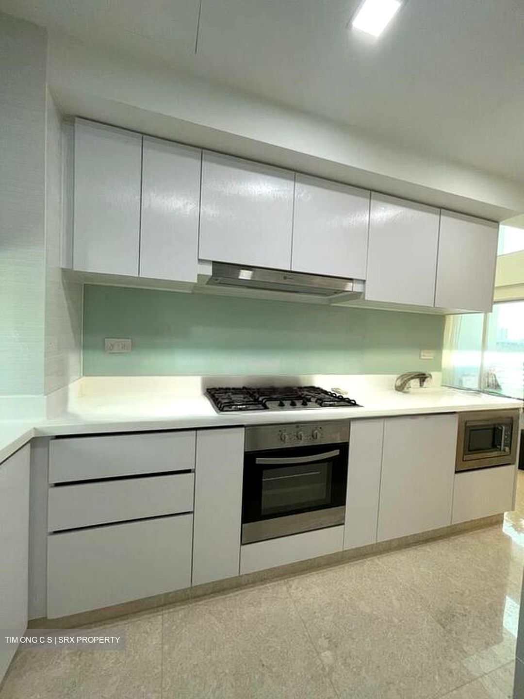 Eight Riversuites (D12), Condominium #503695081